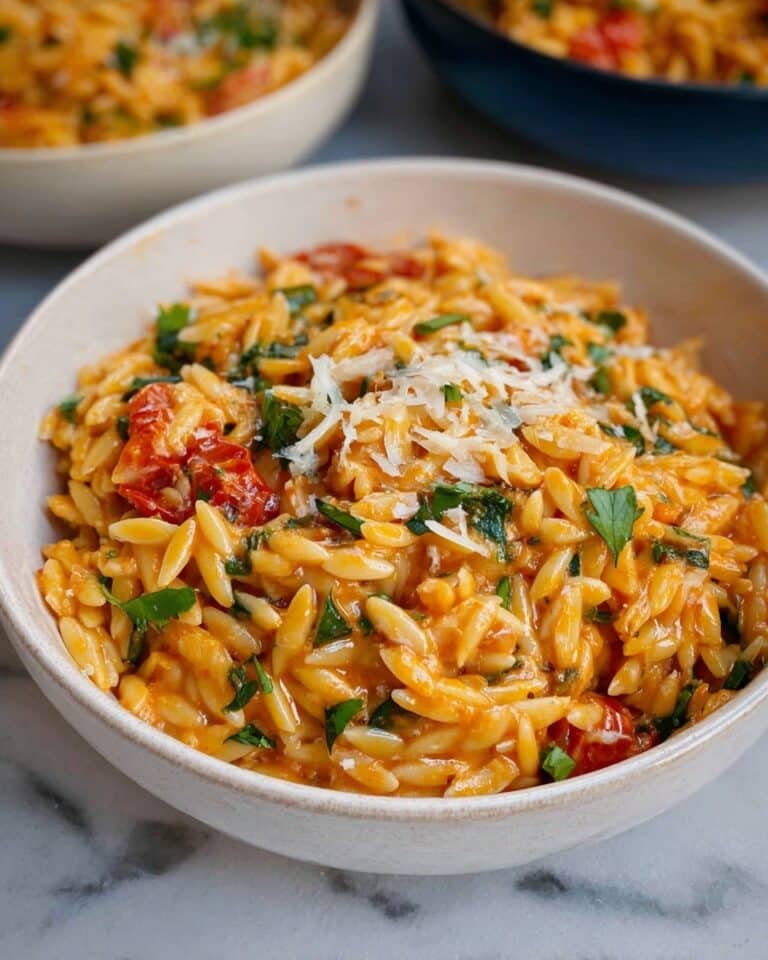One Pot Creamy Tomato Orzo Recipe